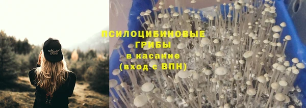 ПСИЛОЦИБИНОВЫЕ ГРИБЫ Абинск