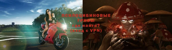 ПСИЛОЦИБИНОВЫЕ ГРИБЫ Абинск
