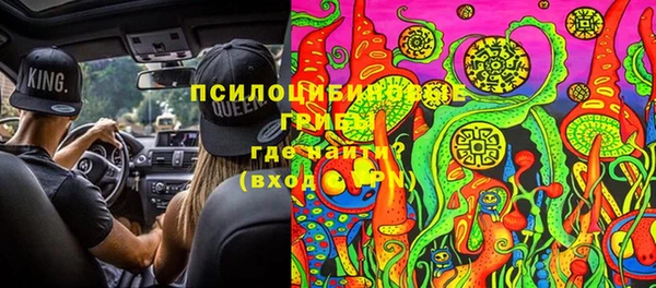 ПСИЛОЦИБИНОВЫЕ ГРИБЫ Абинск