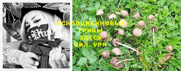 ПСИЛОЦИБИНОВЫЕ ГРИБЫ Абинск