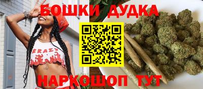 apvp Бердск